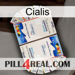 Cialis kamagra1